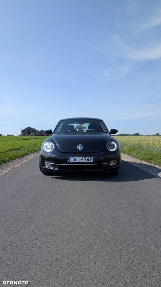 Volkswagen Beetle - 1