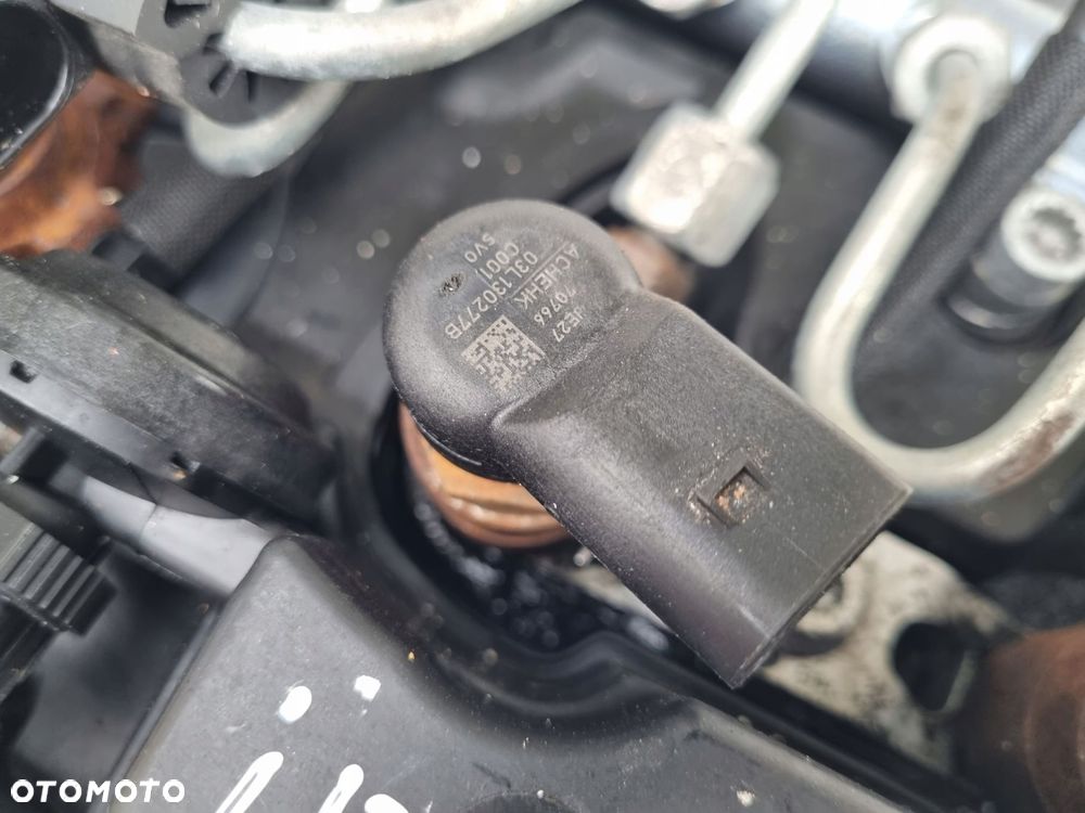 SILNIK BEZ OSPRZĘTU VW Golf VI 1.6 TDI 105KM ładnie pali CAY CAYC - 7