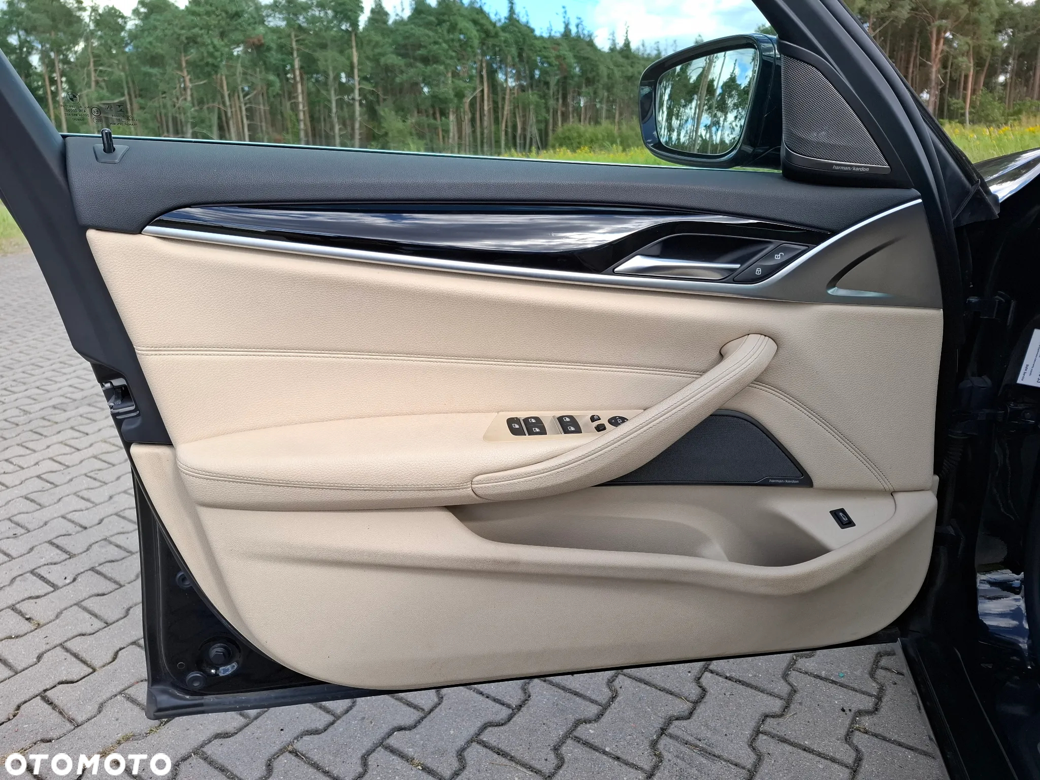 BMW Seria 5 530i xDrive - 16