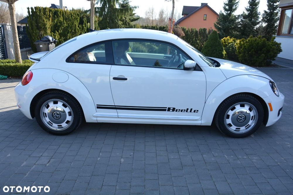 Volkswagen Beetle - 6