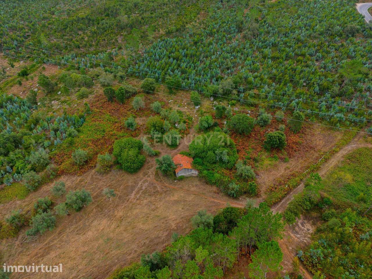 Terreno Rústico de 27.510 m² | Potencial para Projeto Fotovoltaico/Agr - Grande imagem: 3/12