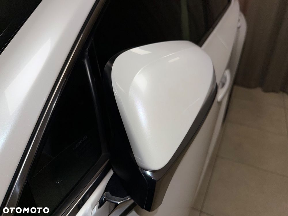 Lexus NX 300 Elegance AWD - 35