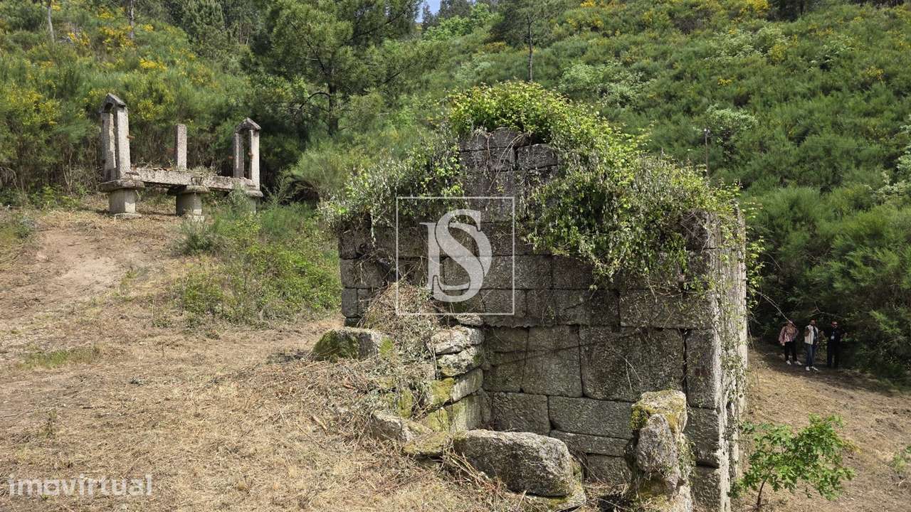 Quinta da Pinha em Bustelo - Amarante - Grande imagem: 5/22