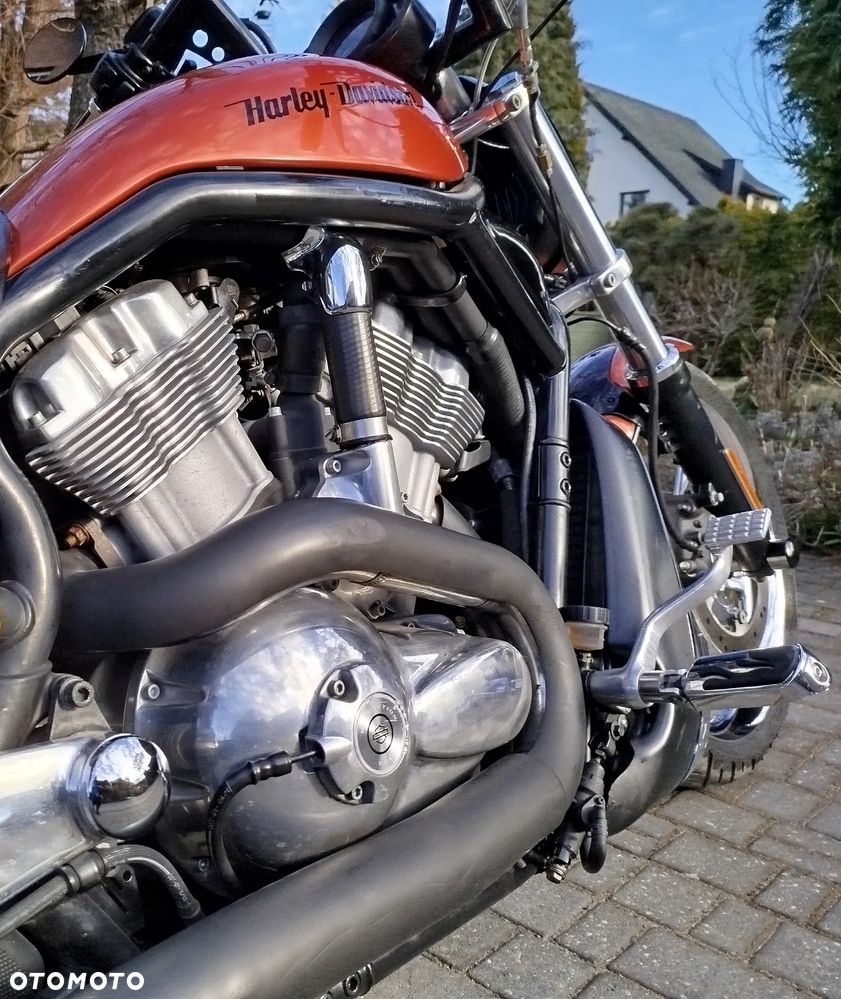 Harley-Davidson Softail V-Rod - 8
