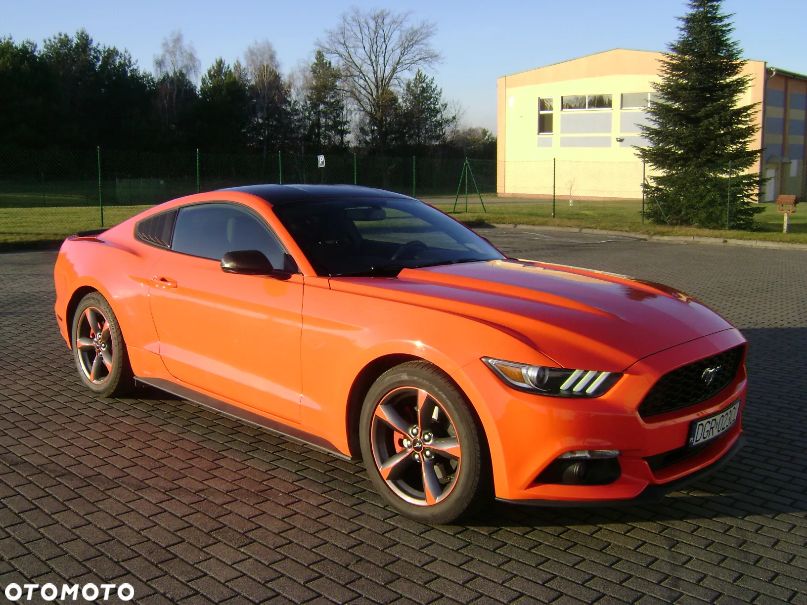Ford Mustang 3.7 V6 - 7