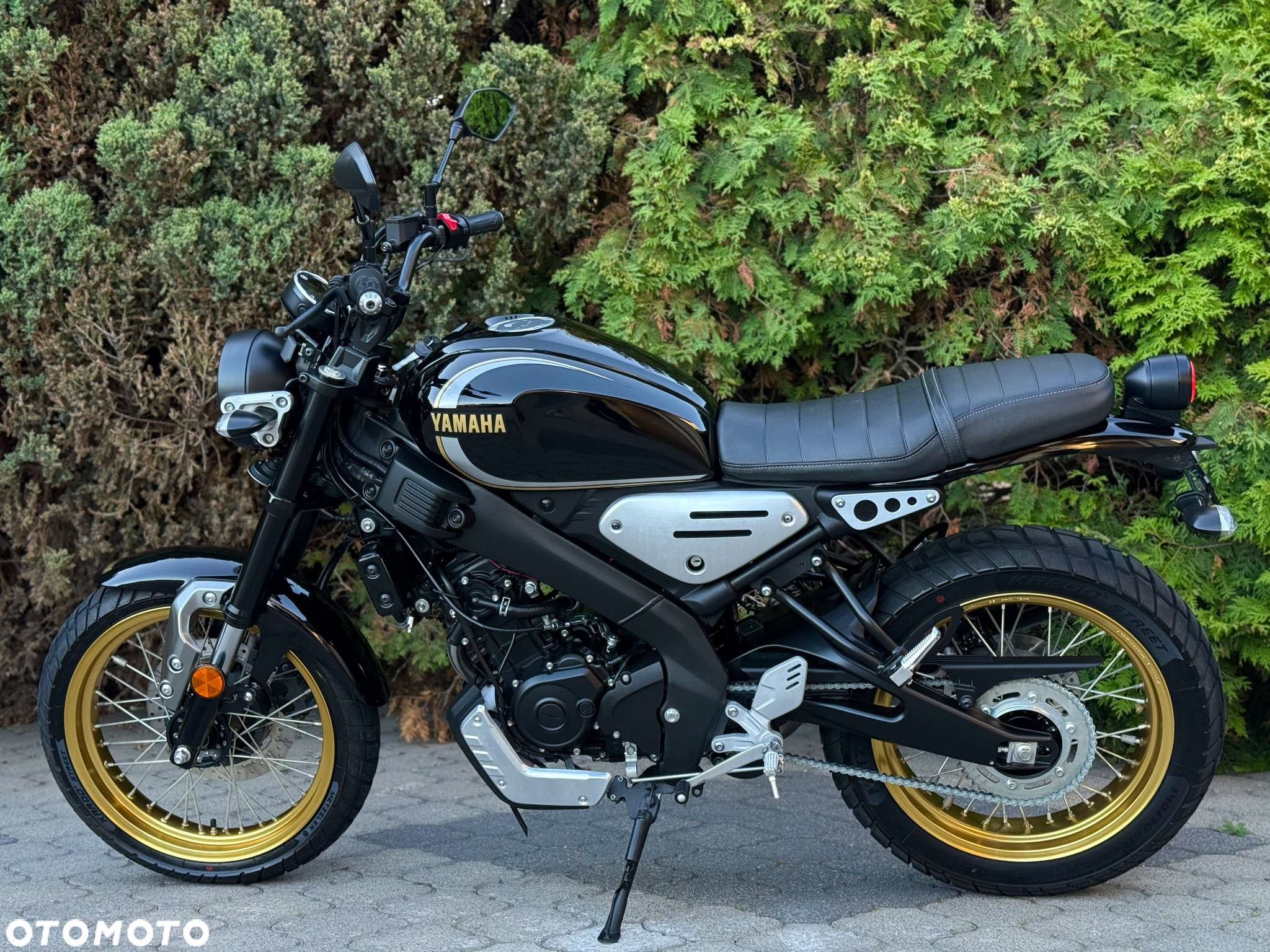 Yamaha XSR - 6