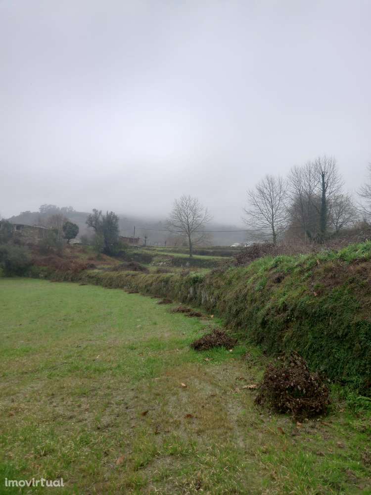 Terreno Rustico Cabeceiras de Basto - Passos - Grande imagem: 3/4