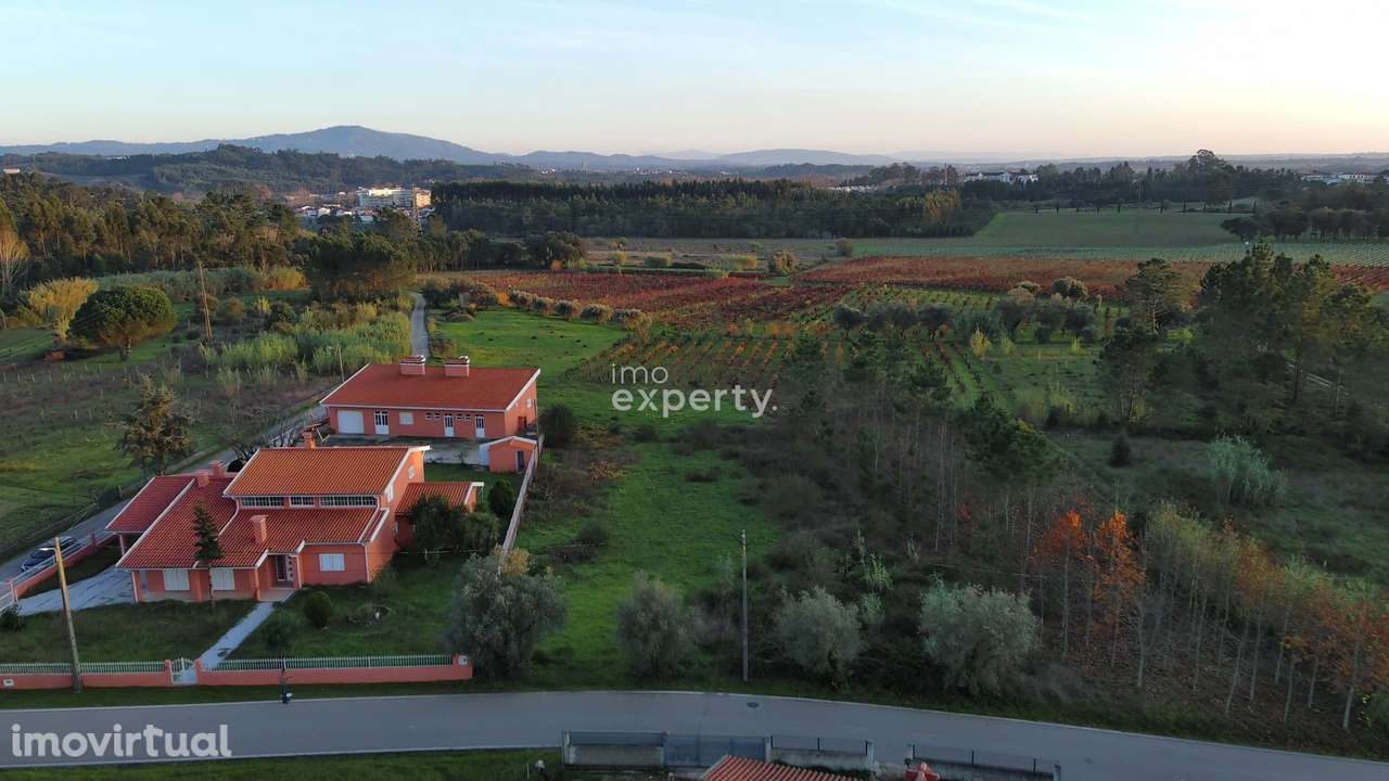 Terreno em São Lourenço do Bairro, Anadia com PIP aprovado - Grande imagem: 3/6