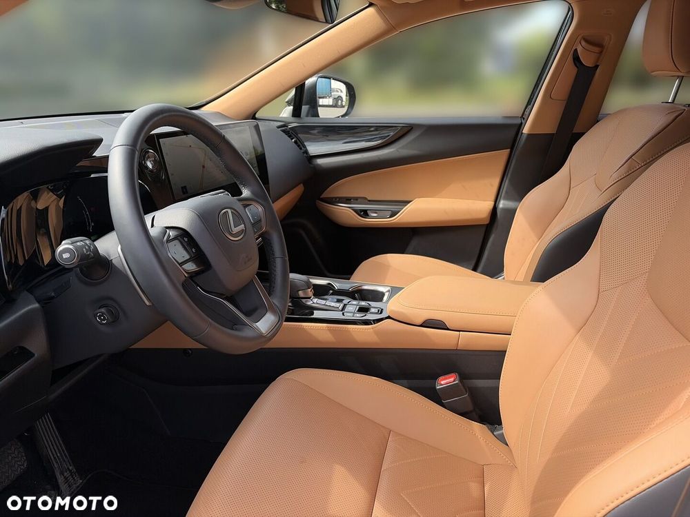Lexus NX - 13
