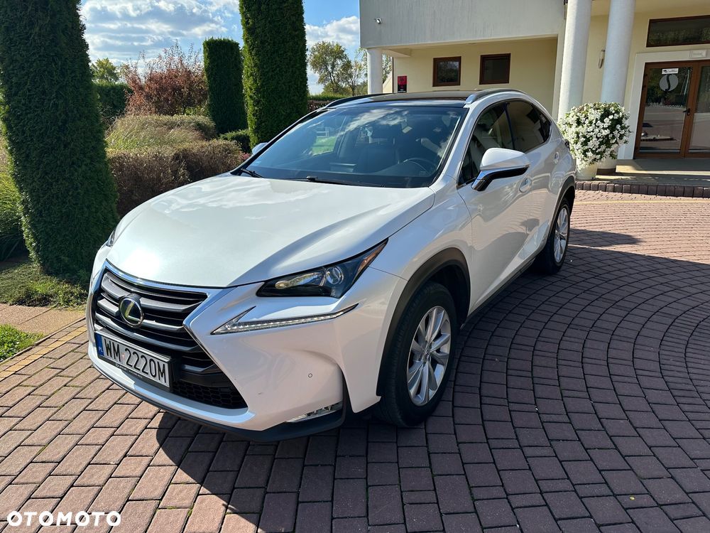 Lexus NX - 1