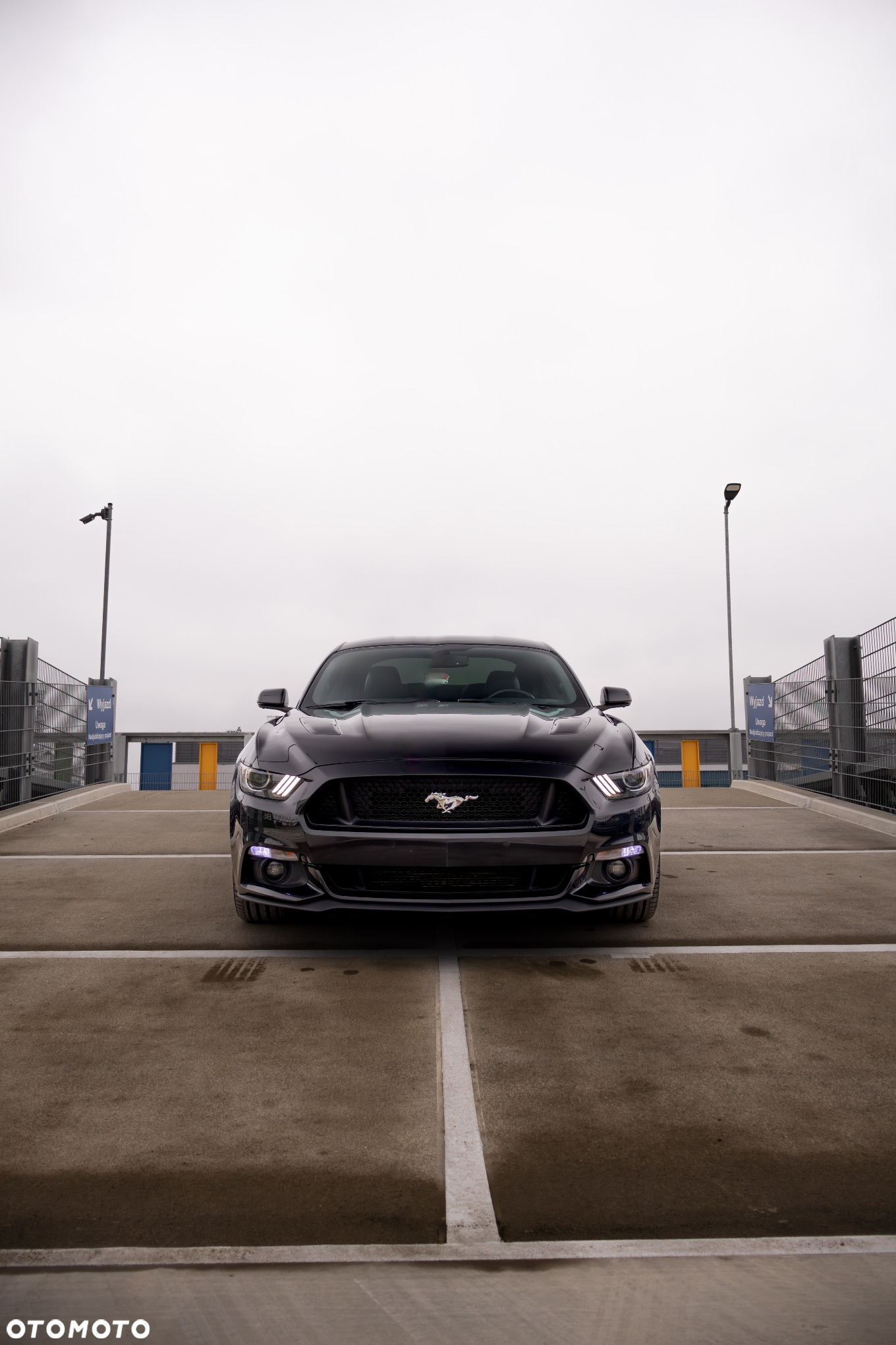 Ford Mustang 5.0 V8 Black Edition - 25