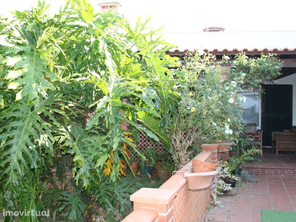 Moradia para venda com jardim e terreno em Salreu - Estarreja - Grande imagem: 5/20