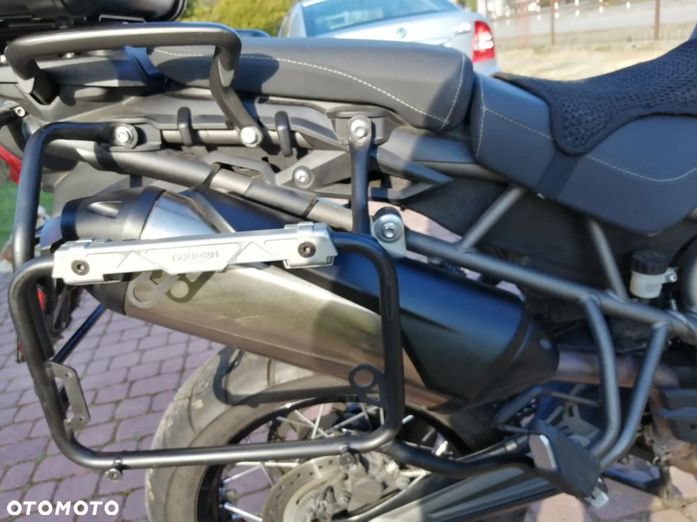 Triumph Tiger - 22