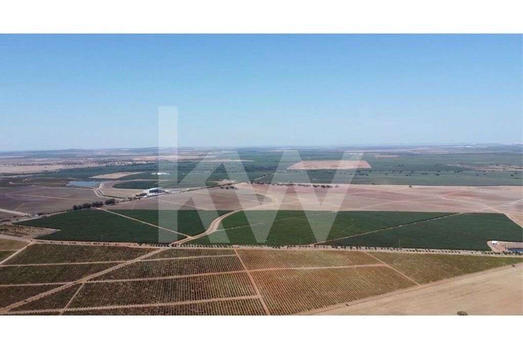 Herdade de amendoal em Beja com 79 ha - Grande imagem: 2/17