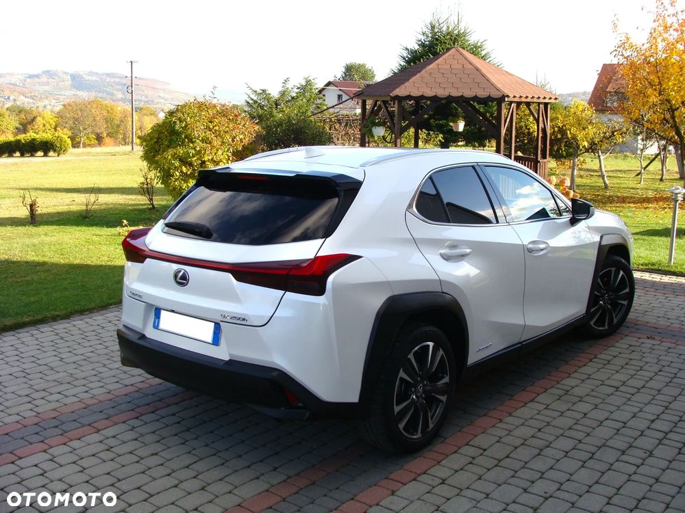Lexus UX - 6