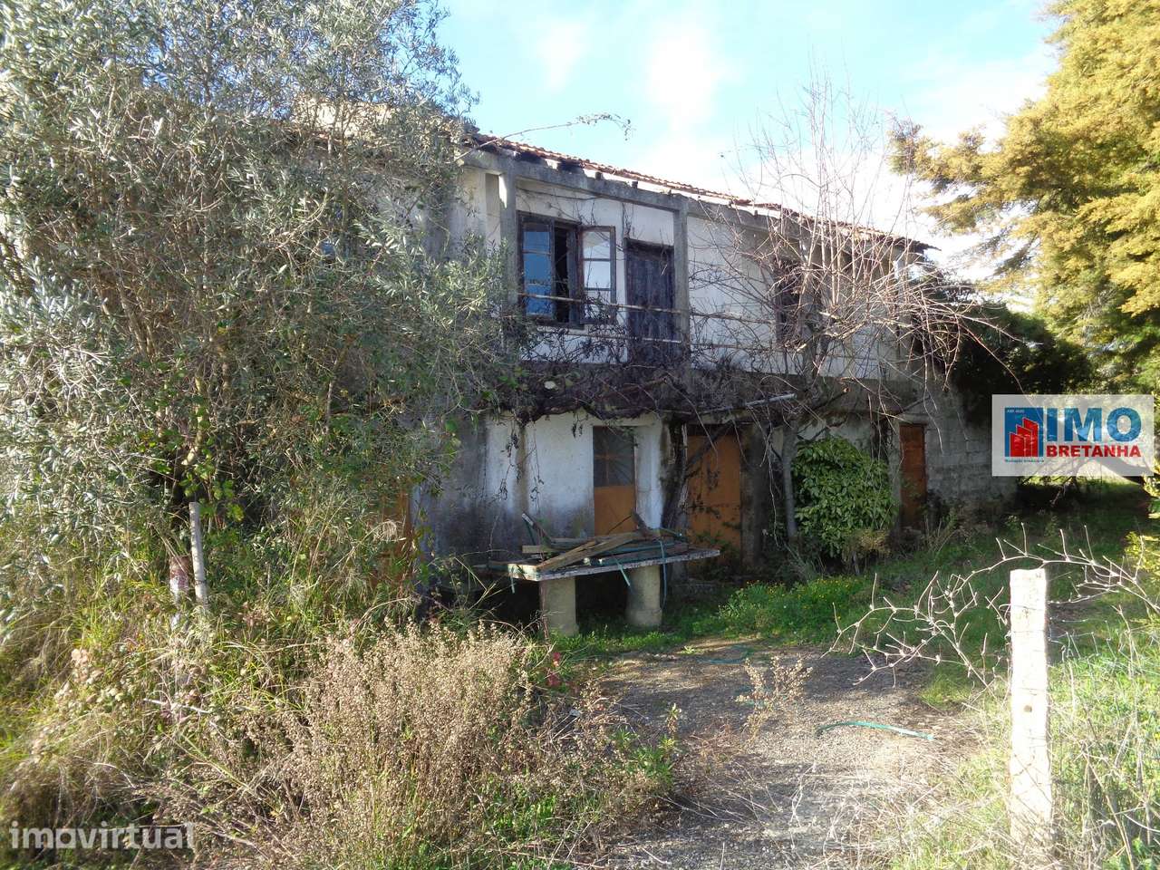 Quinta - Zona de Alcaria - Fundão - Grande imagem: 2/23