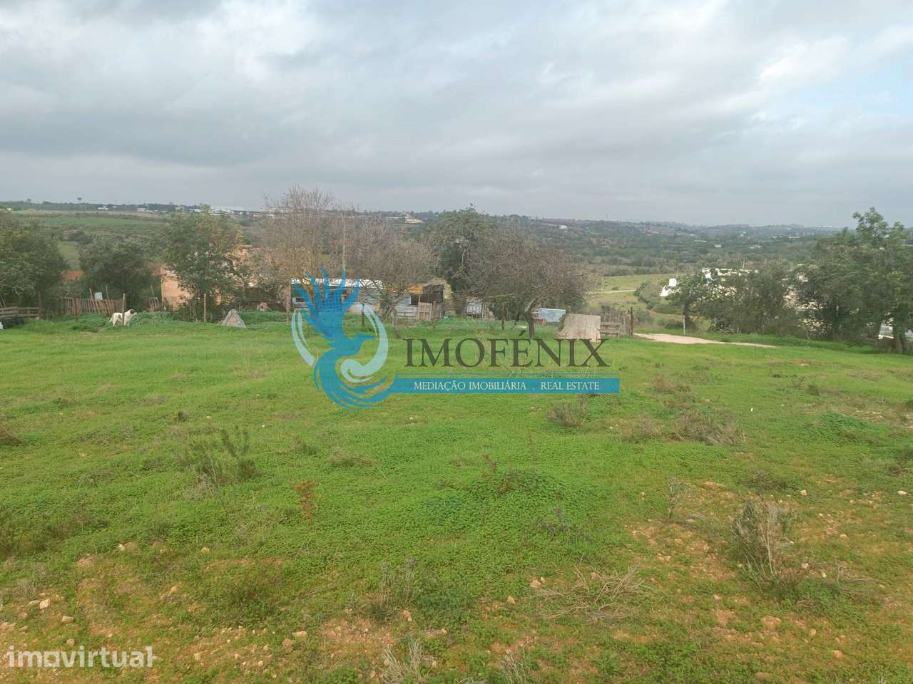Terreno misto com ruina- Guia/ Montes Juntos - Grande imagem: 5/11