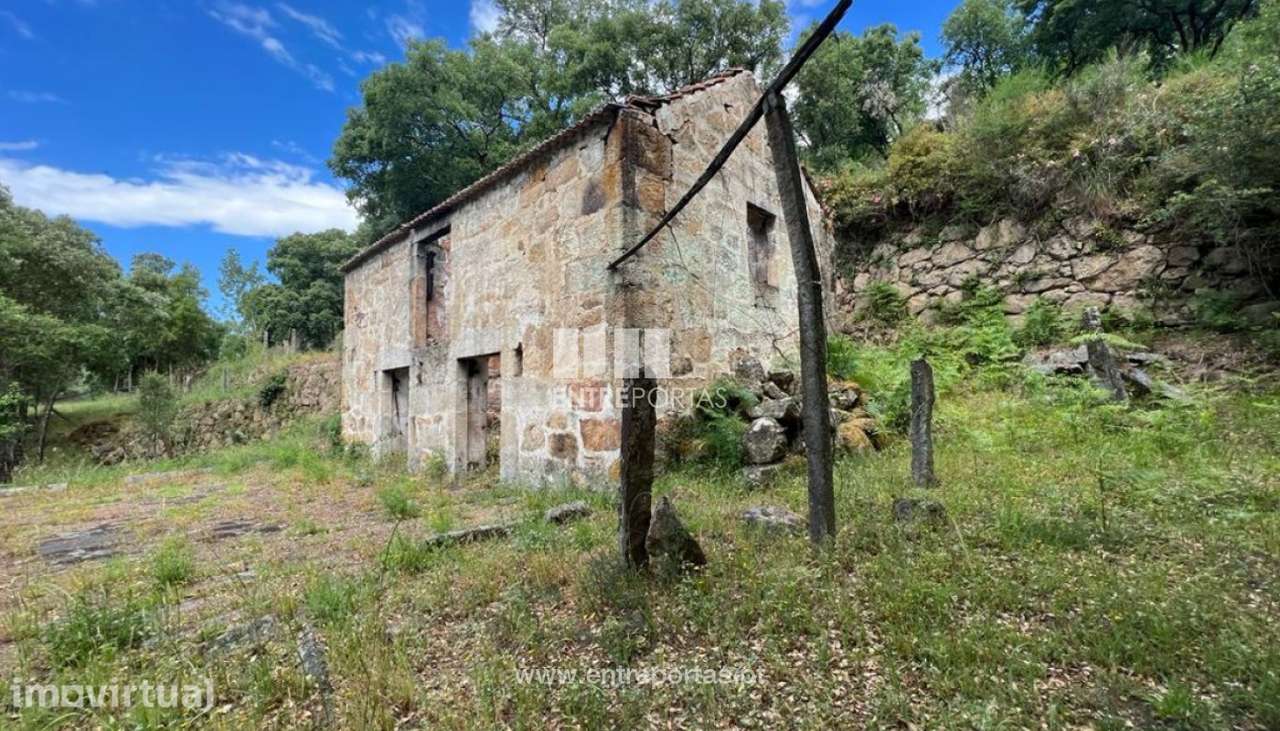 Venda Quinta, Penha Longa, Marco de Canaveses - Grande imagem: 3/29