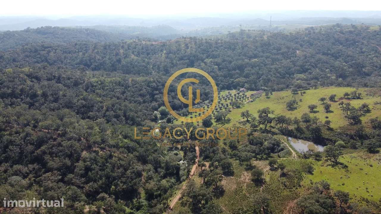 Herdade de 60 ha em Odemira - Grande imagem: 4/47