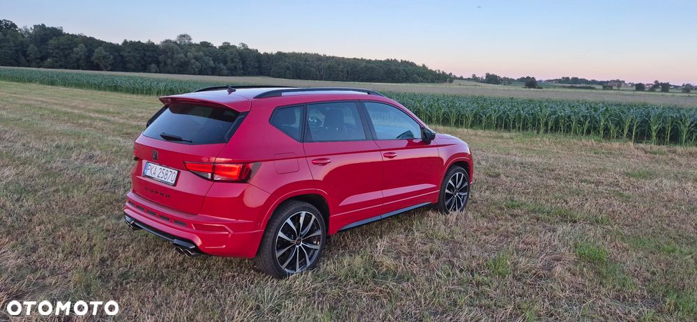Cupra Ateca - 16