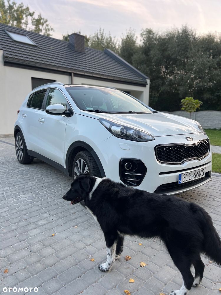 Kia Sportage 2018 photo 2