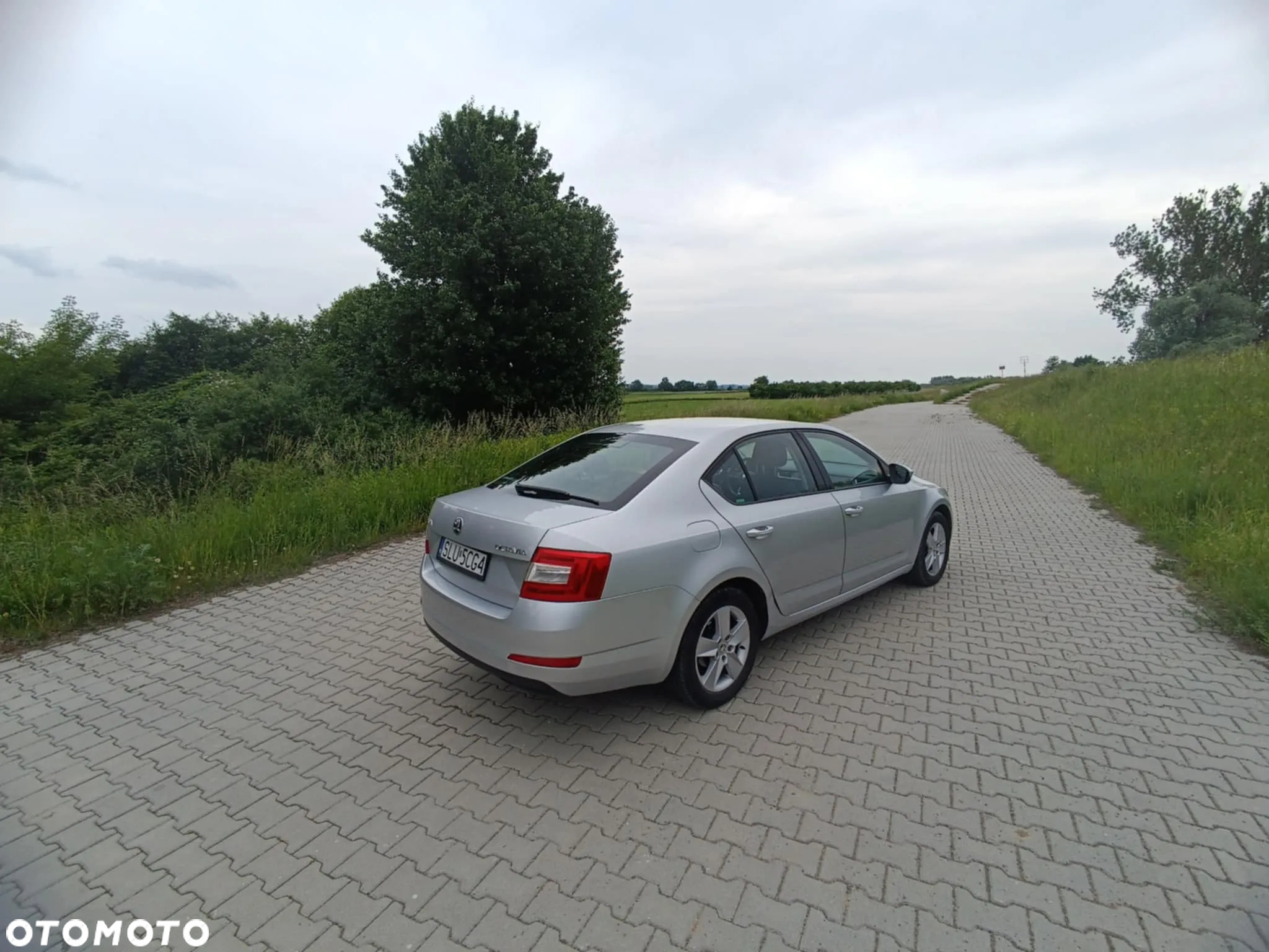 Skoda Octavia 1.6 TDI Ambition - 6