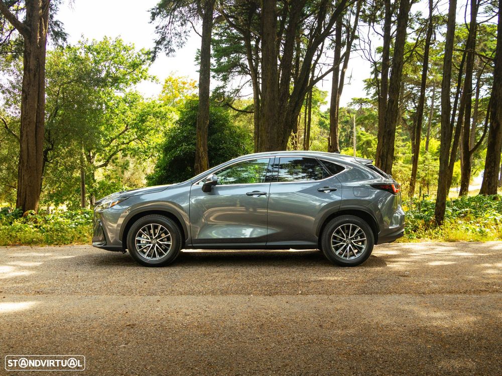 Lexus NX 450h+ Executive - 4