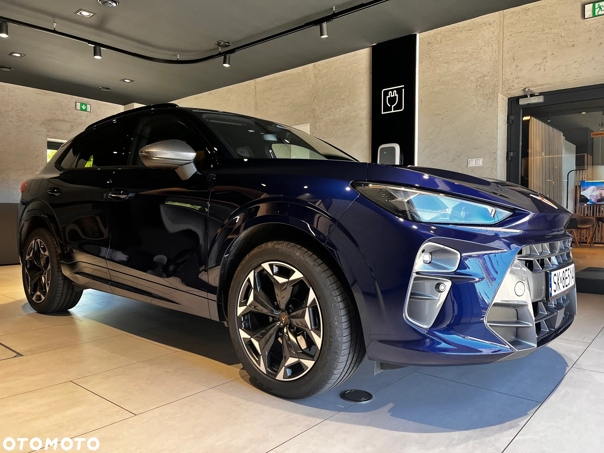 Cupra Terramar - 2