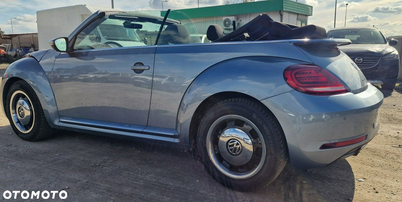 Volkswagen Beetle - 6