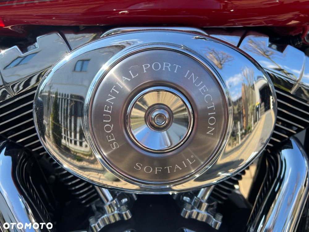 Harley-Davidson Softail - 8