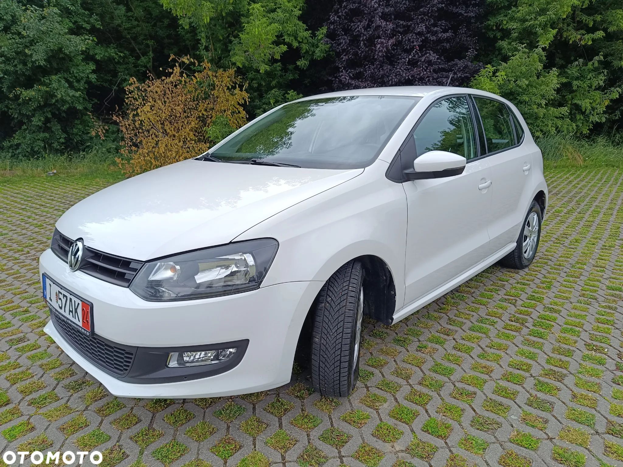 Volkswagen Polo - 1