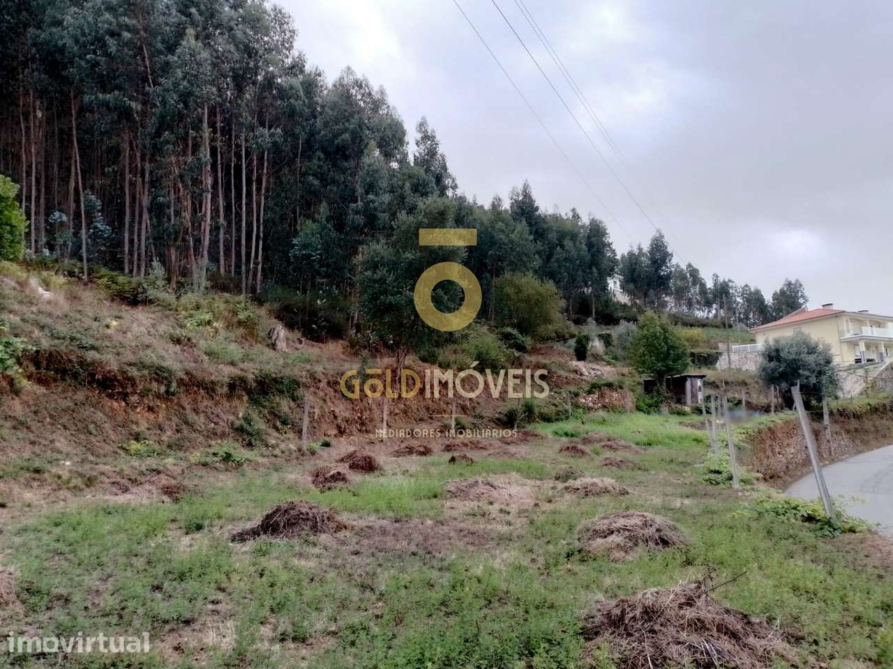 Terreno Para Construção  Venda em Raiva, Pedorido e Paraíso,Castelo de - Grande imagem: 2/13