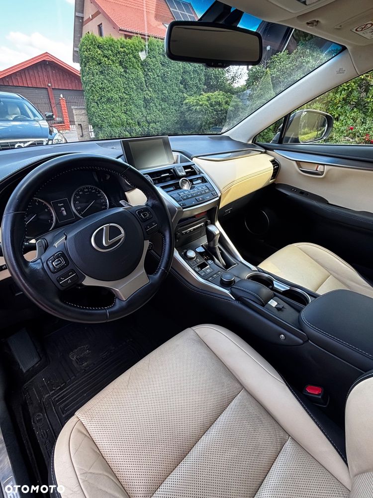 Lexus NX - 20