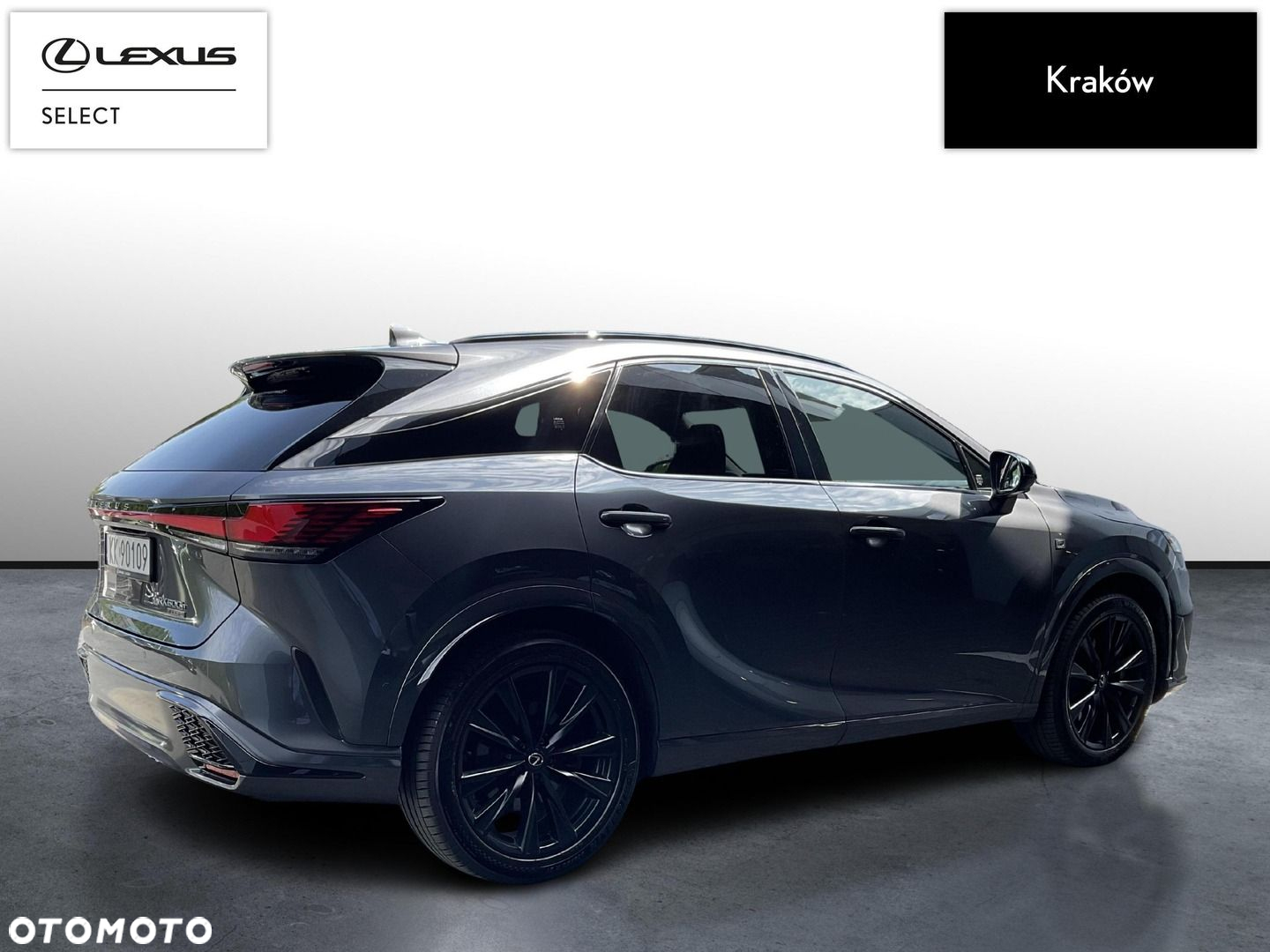 Lexus RX - 5