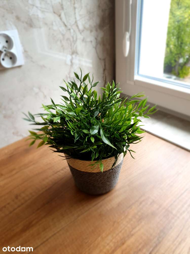 DO WYNAJĘCIA po GENERALNYM REMONCIE 2-pokojowe mieszkanie z balkonem