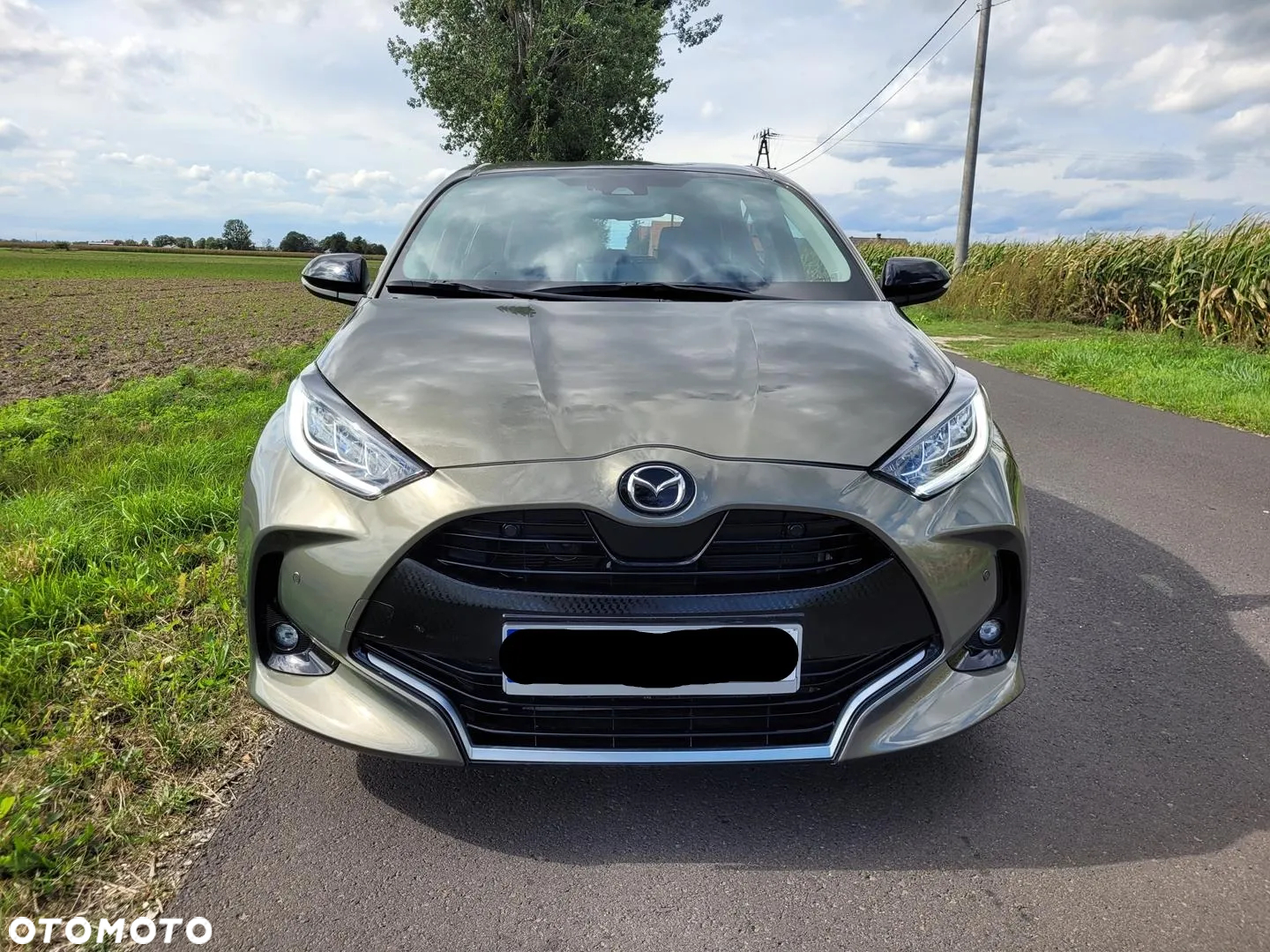 Mazda 2 Hybrid - 2