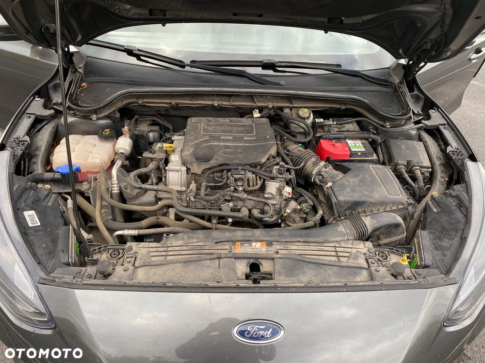 Ford Focus - 6