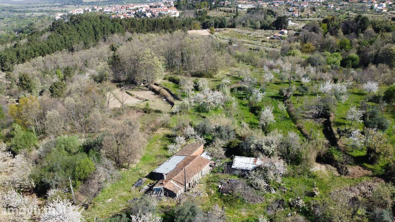Quinta c/ 5,5 ha - Alcaide - Fundão - Grande imagem: 3/56