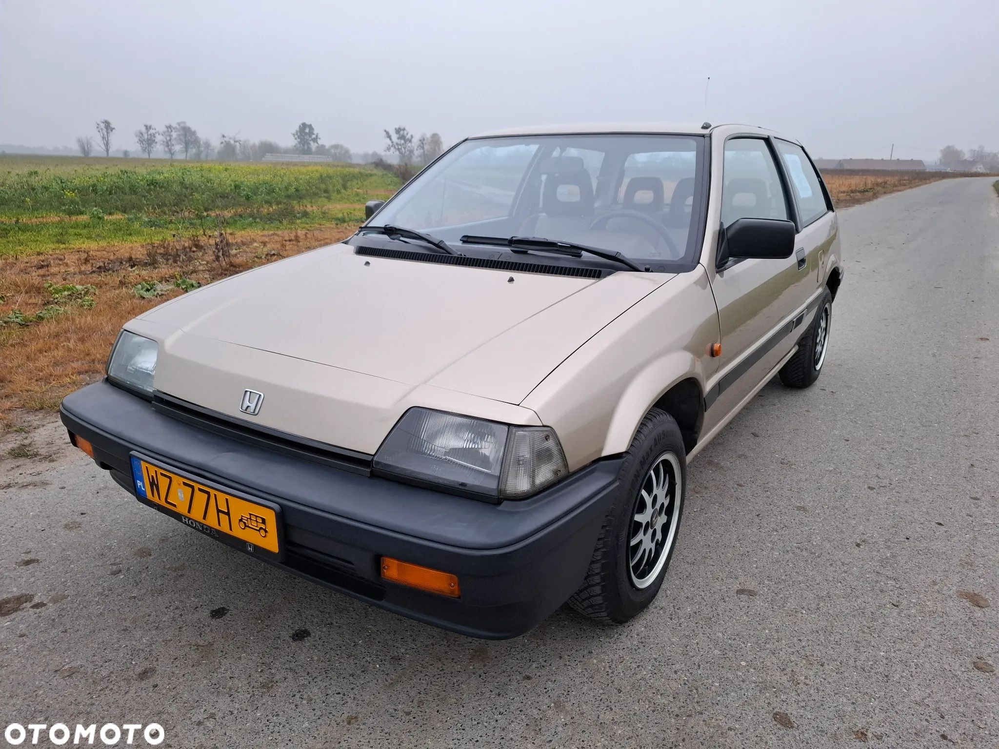 Honda Civic - 1