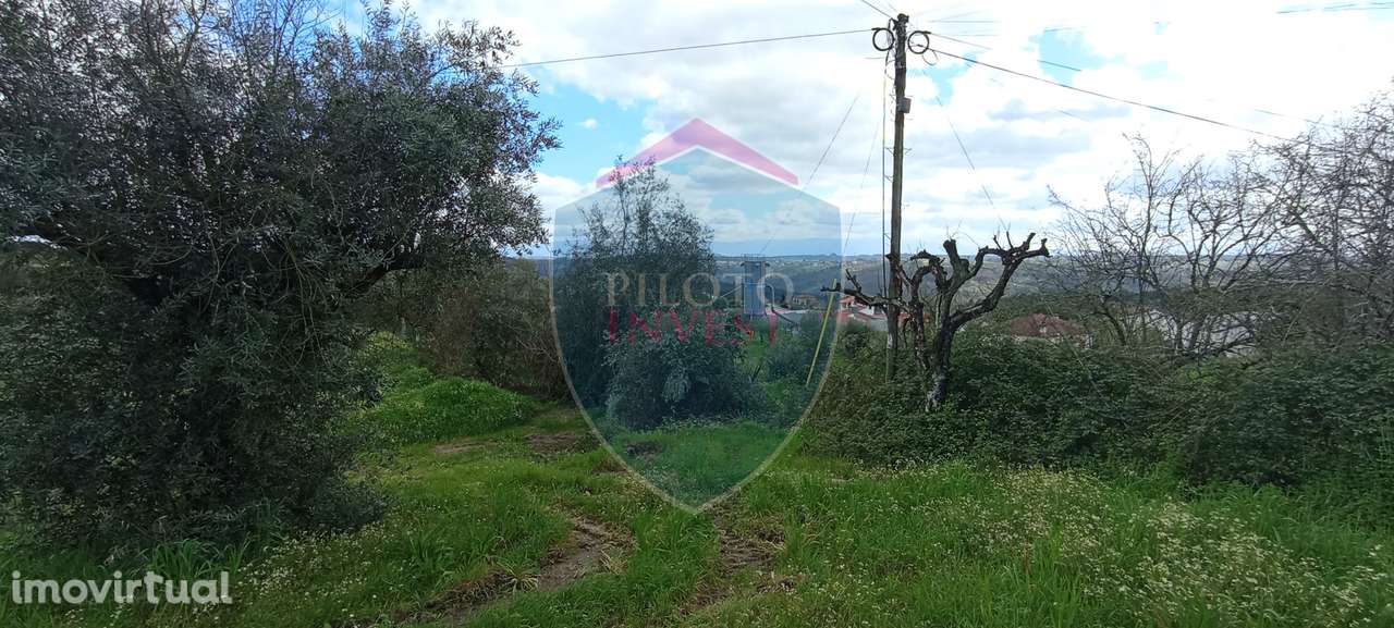 Lote de Terreno  Venda em São João de Lourosa,Viseu - Grande imagem: 5/6