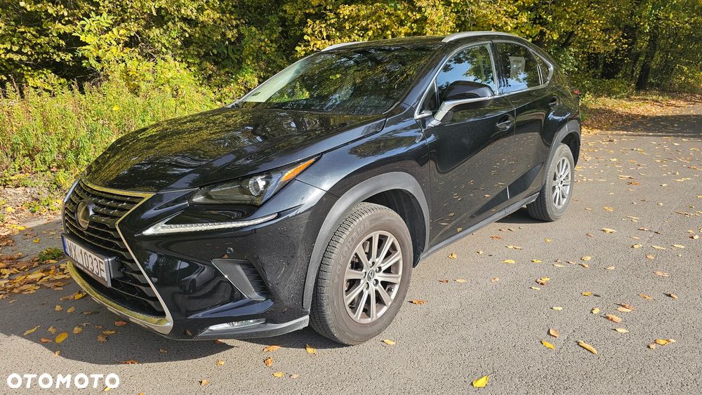 Lexus Nx 2019 photo 4