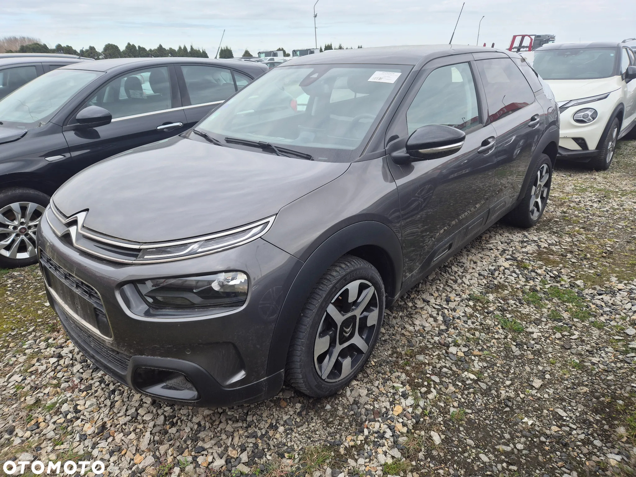 Citroën C4 Cactus 1.2 PureTech GPF Feel - 3