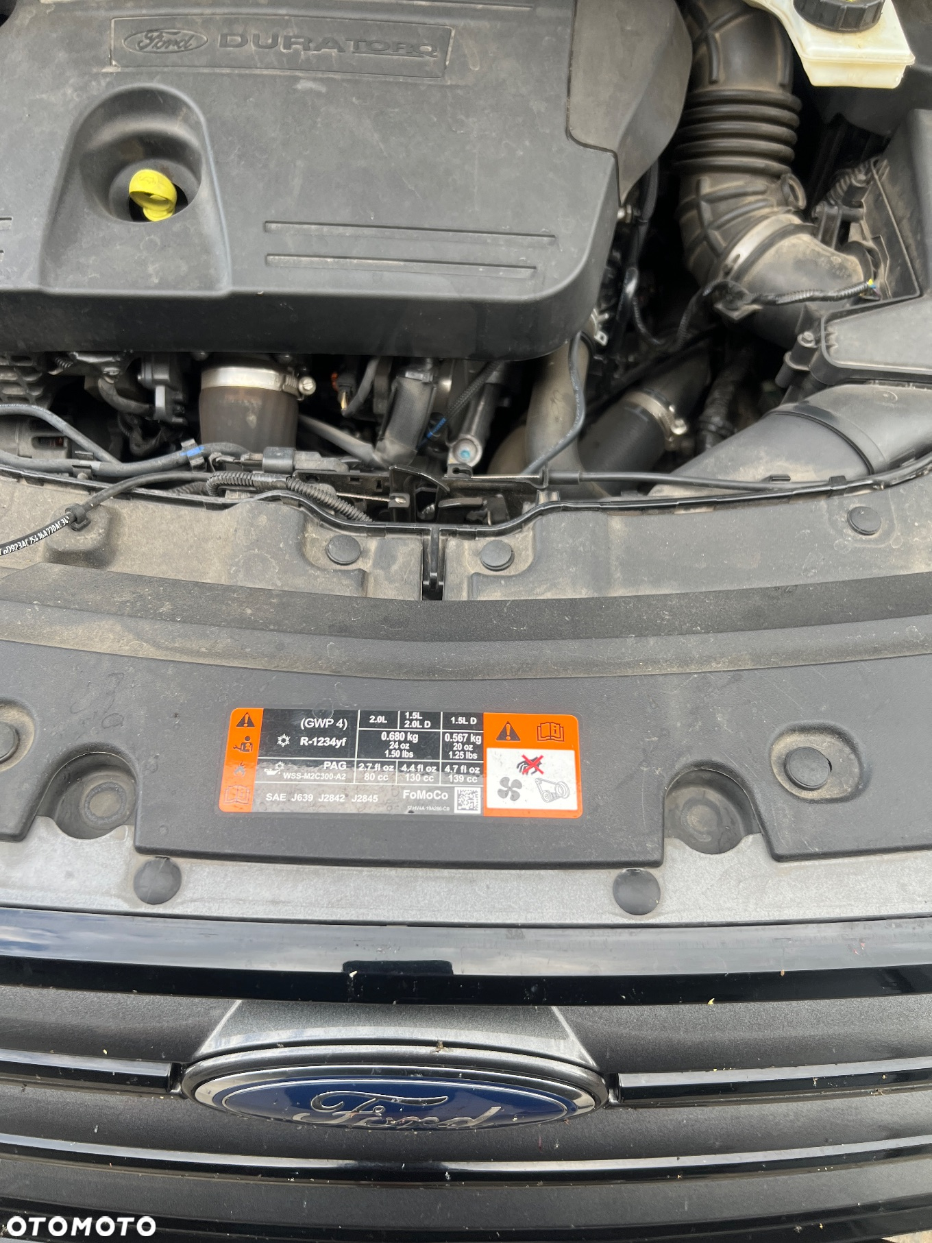 Ford Kuga 2.0 TDCi AWD ST-Line - 31