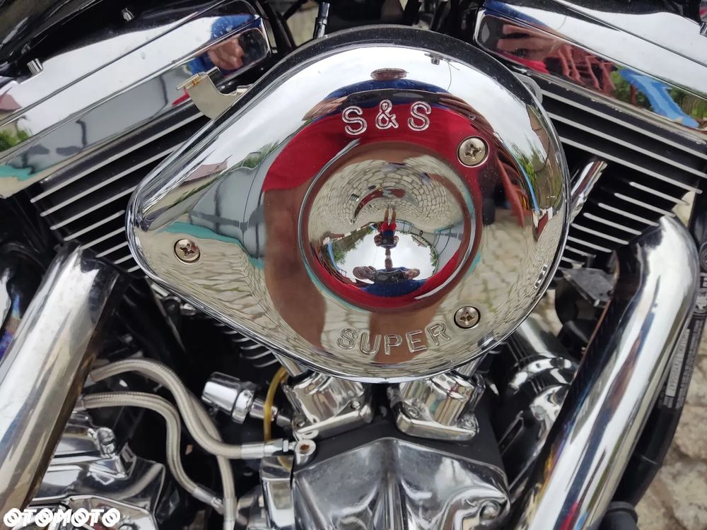 Harley-Davidson Softail Custom - 9