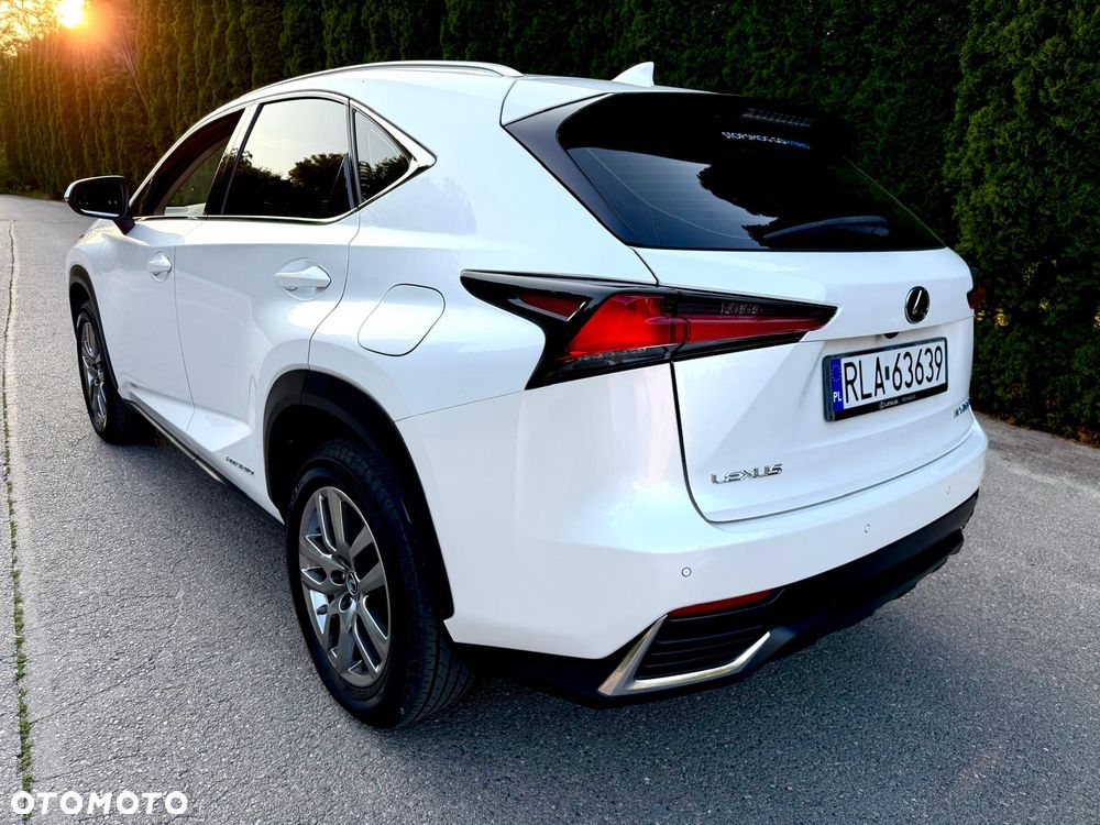 Lexus NX 300h Business Edition AWD - 20