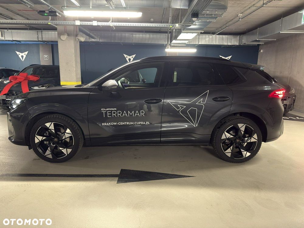 Cupra Terramar - 6