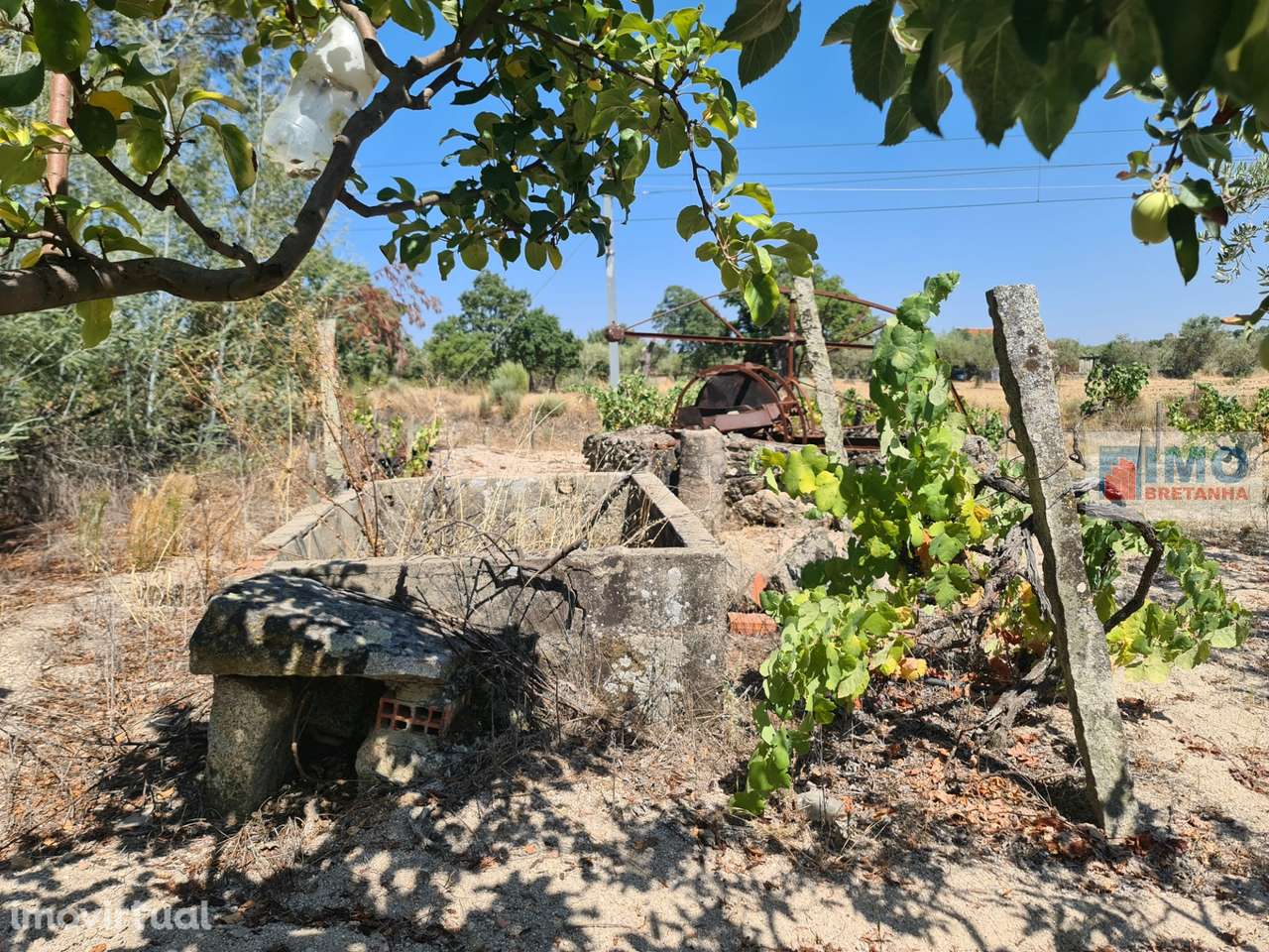 Quinta na Lardosa - Grande imagem: 2/12