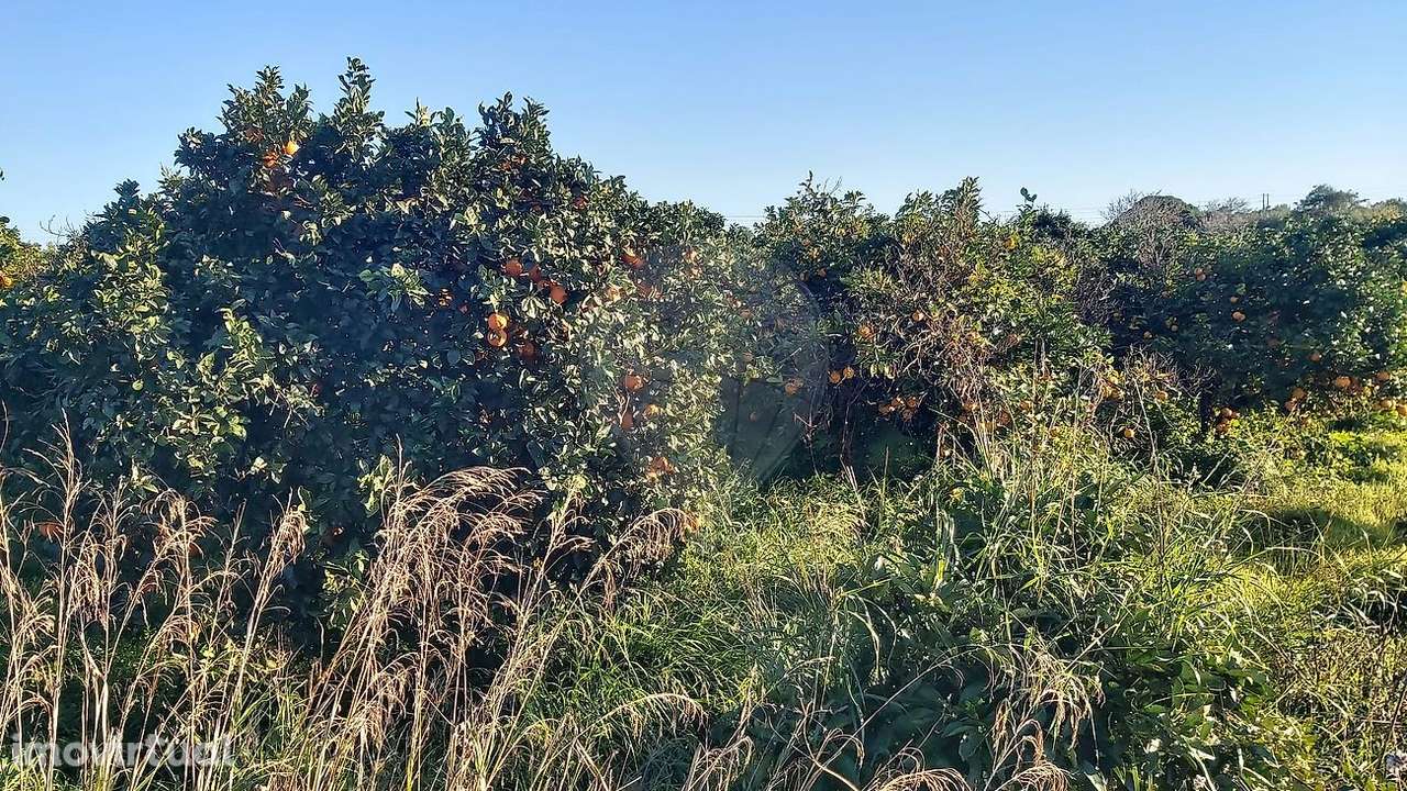 Terreno  para venda - Grande imagem: 5/7