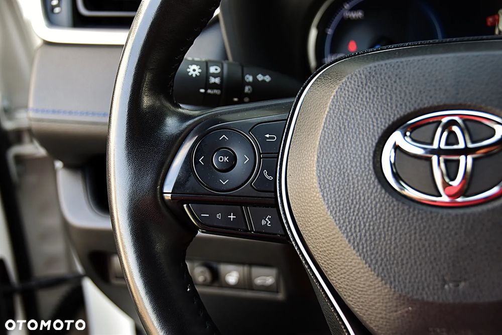 Toyota RAV4 2.5 Hybrid Selection 4x4 - 34