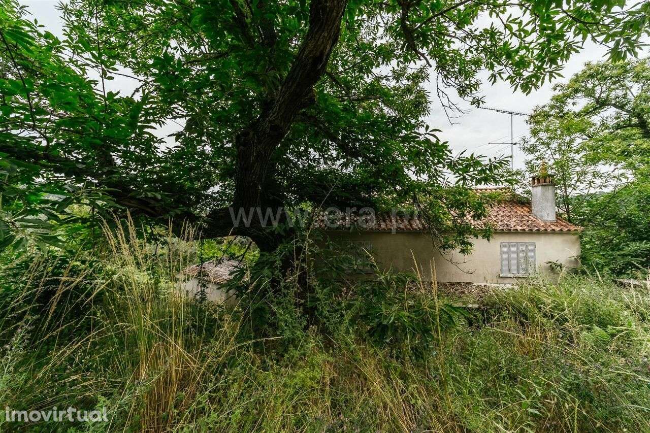 Quintinha T3 / Fundão, Castelejo - Grande imagem: 4/16